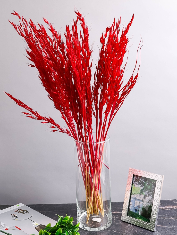 ИЦ Овес 30шт 60см темно-красный ИЦ Овес 30шт 60см темно-красный