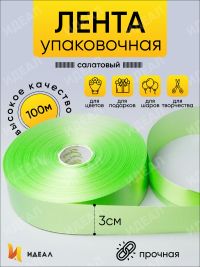Лента простая 3/100 К салатовый