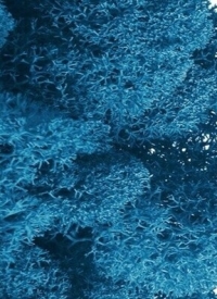 Мох натуральный  50мл стабилизированный бирюзовый