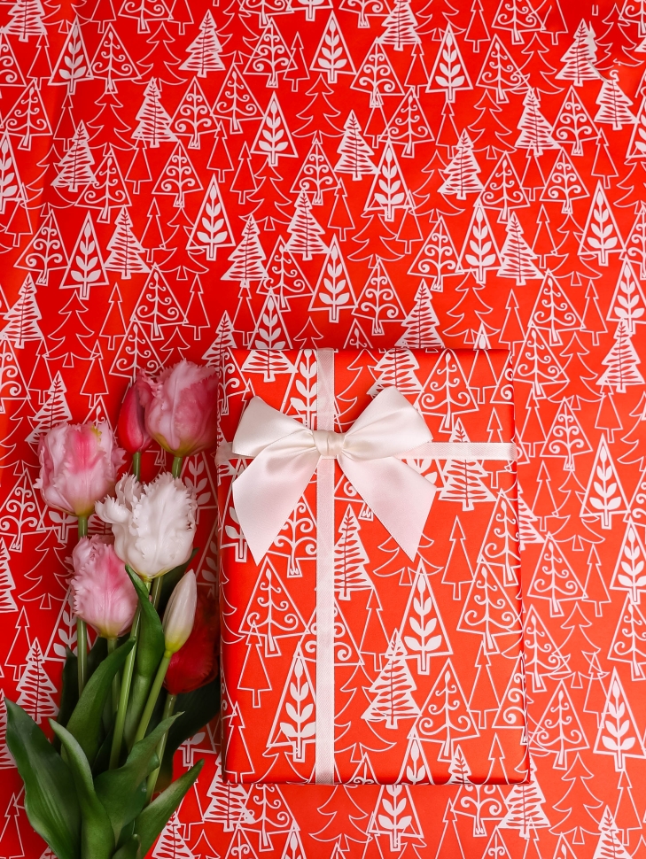 Бумага белая крафт 50г/м2, 70см x 10м, Елки, красный Бумага белая крафт 50г/м2, 70см x 10м, Елки, красный