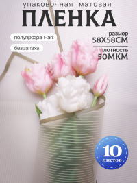 Пленка матовая 58смх58см 10 листов 50мкм Полоски кремовый с зеленым кантом