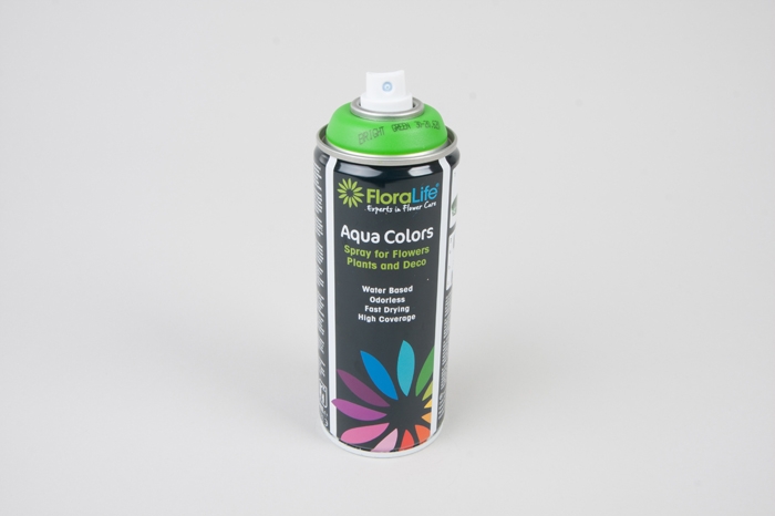 Спрей Краска Floralife 400мл Aqua светло-зеленый