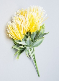 ИЦ Букет Шишки 32см 5 веток d7 САЛЬ желтый