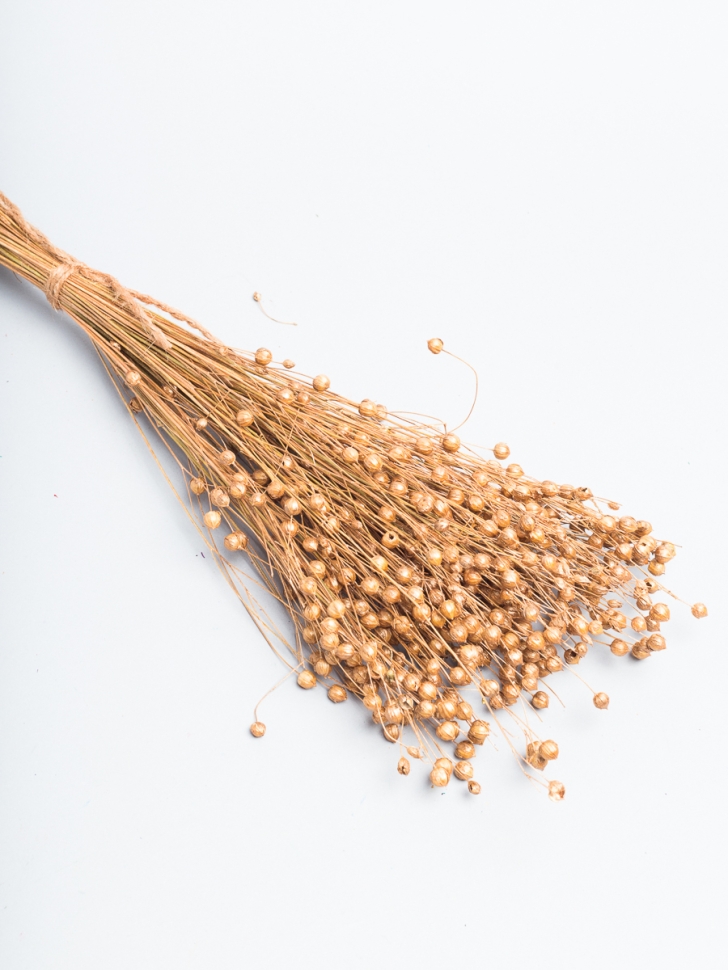 Лен-долгунец 55см 50гр бронза Лен-долгунец 55см 50гр бронза