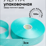 Лента простая 3/100 К бирюзовый Лента простая 3/100 К бирюзовый