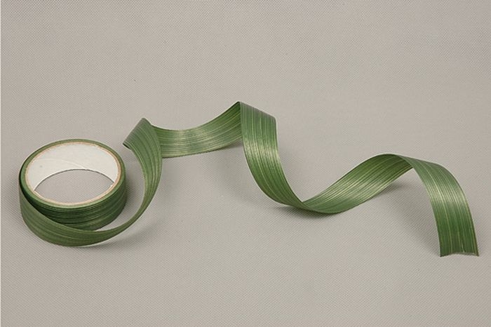 Лента Аспидистр РД 3см х10м Лента Аспидистр РД 3см х10м