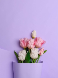 Пленка матовая  Пастель 58см х 10м на втулке, глициния