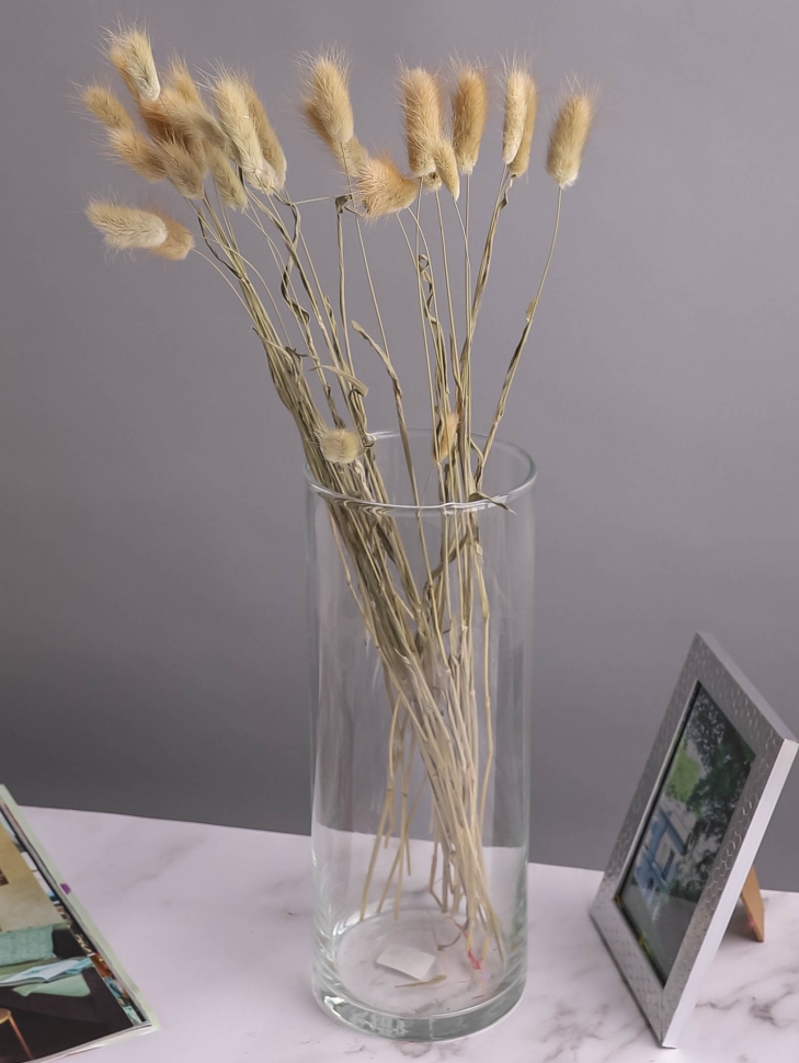 Лагурус цветной 30 голов 2104149 натуральный