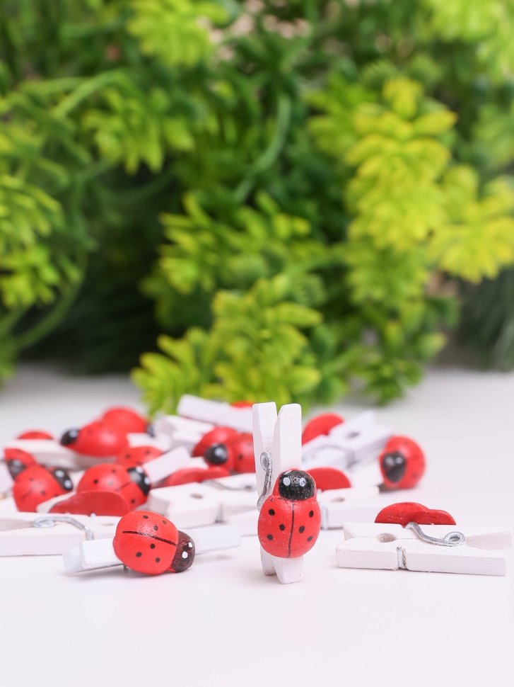 Прищепка Божья коровка 24шт. Biedronka 1 (1,3см) белая