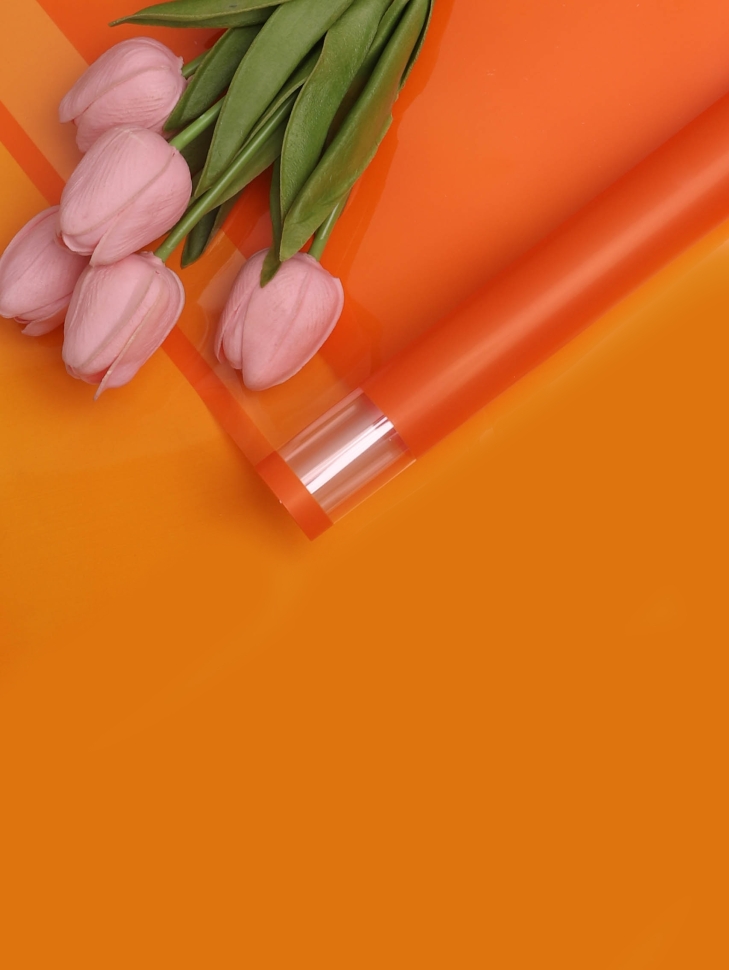 Пленка цветная 58смх58см 10 листов РЦ с прозрачным краем оранжевый Пленка цветная 58смх58см 10 листов РЦ с прозрачным краем оранжевый