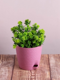 Кашпо из пластика "Блюз" 1,5л. h13,5см,d14см пунш