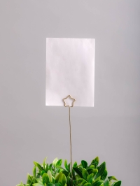 Вставка Держатель для открыток 2,5х33,5см звезда 10 шт