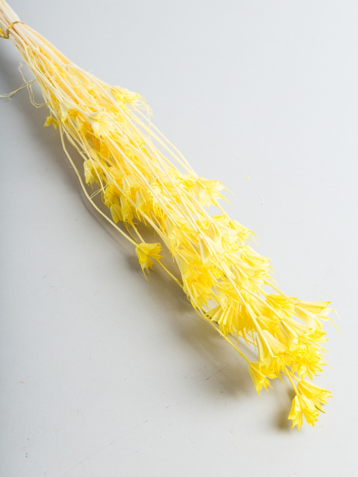 ИЦ Нигелла 50г желтый ИЦ Нигелла 50г желтый