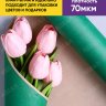 Бумага крафт 70г/м2, 70см x 10м, Тонировка, зеленый Бумага крафт 70г/м2, 70см x 10м, Тонировка, зеленый