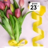 Лента атласная 25мм х 25 ярд  JD лимонный