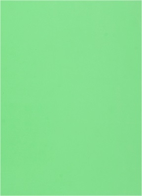 Фоамиран 60х70см 0,8мм 1лист. зеленый 015-171