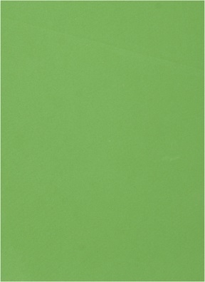 Фоамиран 60х70см 0,8мм 1лист. темно-зеленый 016-179 Фоамиран 60х70см 0,8мм 1лист. темно-зеленый 016-179
