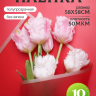 Пленка матовая 58смх58см 10 листов 50мкм кант Розовое золото, красный Пленка матовая 58смх58см 10 листов 50мкм кант Розовое золото, красный
