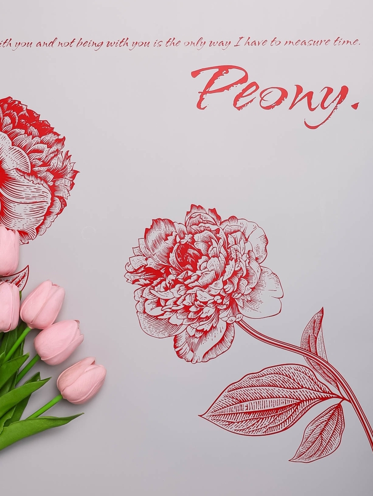 Пленка матовая 65мкм 58см х 10м РЦ Пионы на сером красный Пленка матовая 65мкм 58см х 10м РЦ Пионы на сером красный