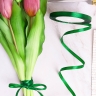 Лента атласная 10мм х 25ярд JD зеленый Лента атласная 10мм х 25ярд JD зеленый
