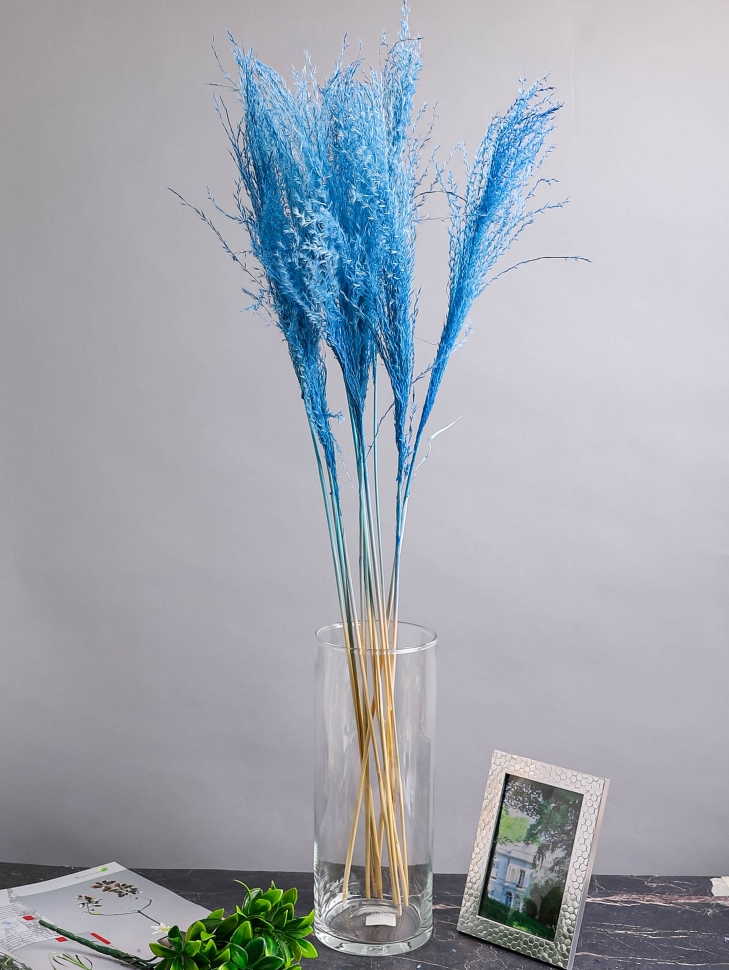 ИЦ Мискантус 10шт 60см синий