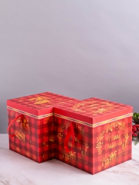 Коробка НГ квадрат 22х22х22 см GYH22627-75 микс