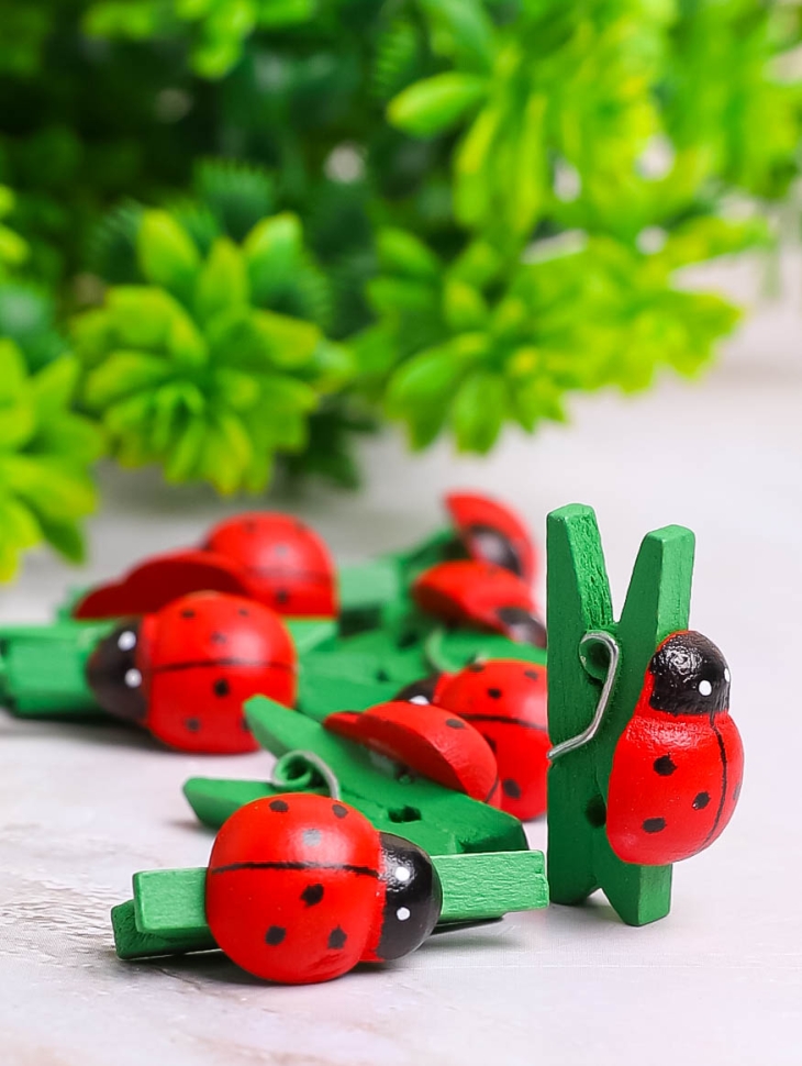 Прищепка Божья коровка 24шт. Biedronka 1 (1,3см)