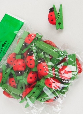 Прищепка Божья коровка 24шт. Biedronka 1 (1,3см)