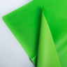 Пленка матовая 58см х 58см 60мкм 10 листов, салат Пленка матовая 58см х 58см 60мкм 10 листов, салат