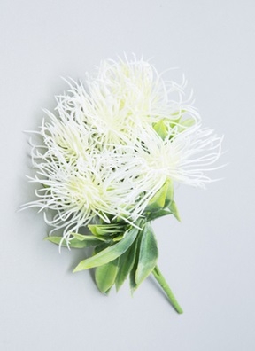 ИЦ Букет Шишки 30см 5 веток d8 АРЛЬ белый ИЦ Букет Шишки 30см 5 веток d8 АРЛЬ белый