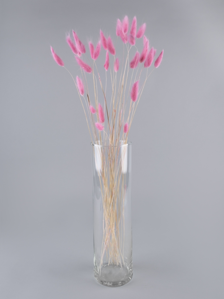 Лагурус цветной 30 голов розовый