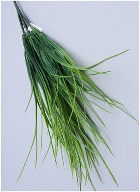 ИЦ Берграсс 0377-3 ИЦ Берграсс 0377-3