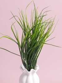 ИЦ Берграсс 0377-3