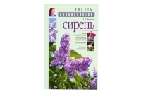 Книга Сирень
