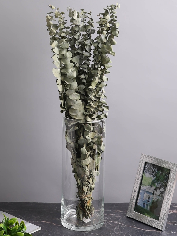 ИЦ Эвкалипт Бэби Блю 15 шт 55см ИЦ Эвкалипт Бэби Блю 15 шт 55см