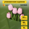Пленка матовая 60см х 10м на втулке зеленый Пленка матовая 60см х 10м на втулке зеленый