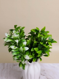 ИЦ Ветка зелени 0377-4