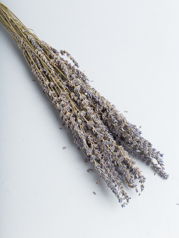 ИЦ Цветы Лаванда 50г фиолетовый