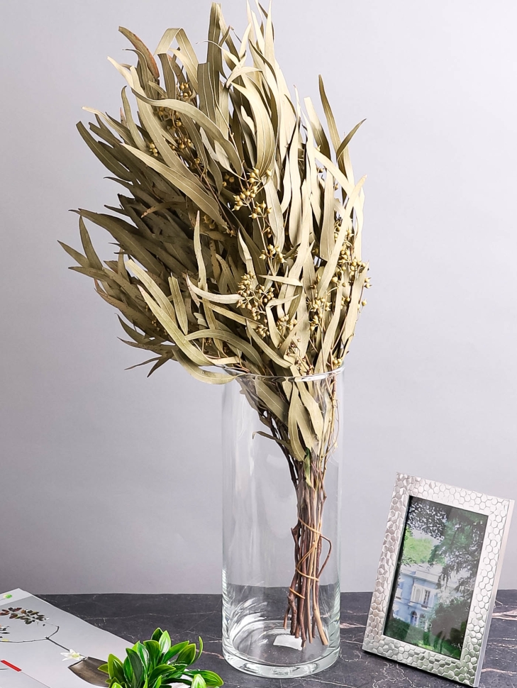 ИЦ Эвкалипт Николи 10 шт 50см ИЦ Эвкалипт Николи 10 шт 50см