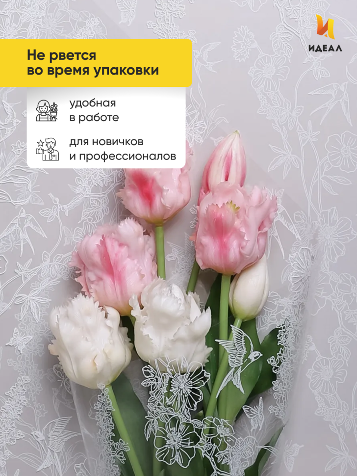 Пленка цветная 60см Ласточки белый