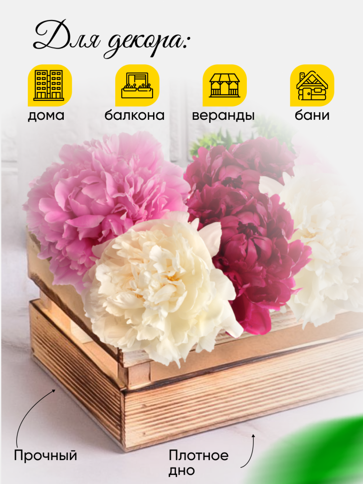 Ящик деревянный 24х13хh8см экзотик