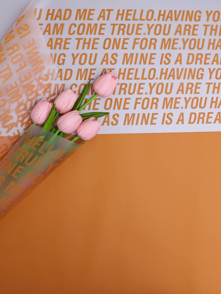 Пленка матовая 55мкм 58см х 10м РЦ надписи признания оранжевый Пленка матовая 55мкм 58см х 10м РЦ надписи признания оранжевый