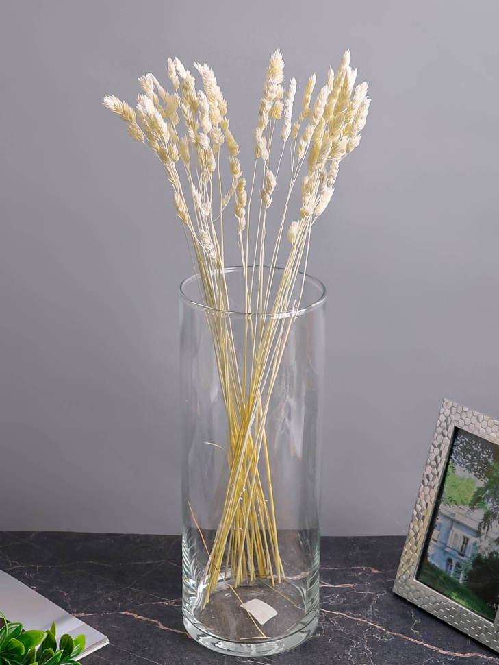 ИЦ Пампасная трава 30шт 50см белый ИЦ Пампасная трава 30шт 50см белый