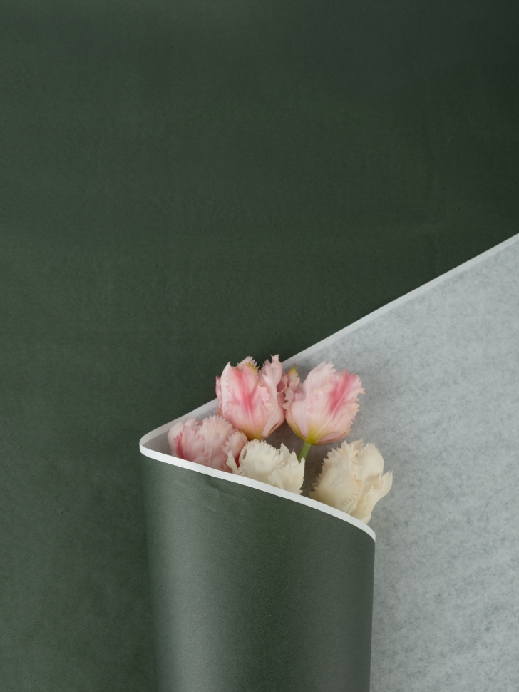 Бумага белая крафт 50г/м2, 70см x 10м, Тонировка, зеленый мох