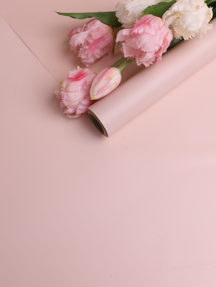 Пленка матовая 60см х 10м на втулке пудра Пленка матовая 60см х 10м на втулке пудра