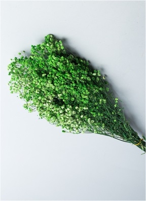 ИЦ Гипсофила 120г зеленый ИЦ Гипсофила 120г зеленый