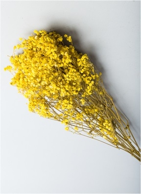 ИЦ Гипсофила 120г желтый ИЦ Гипсофила 120г желтый