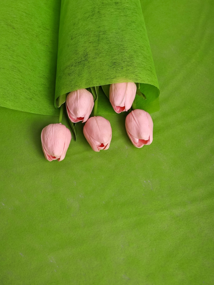 Фетр К 50см х 15м зеленый Фетр К 50см х 15м зеленый