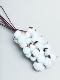 ИЦ Хлопок на ножке 10шт 35см голубой