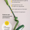 Тейп Лента 13ммx28м зеленая, К